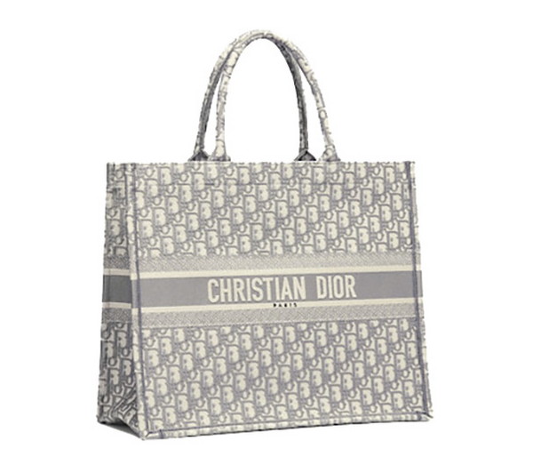Dior oblique womens new arrivals